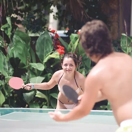 Monte Carlo Hotel 4*